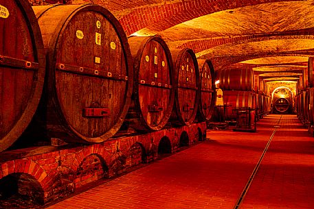 Cellar - Barrels - Wine